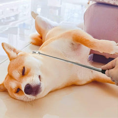 DOCCESTU Stainless Steel Back Scraper Super Portable Retractable Back Scraper for Men and Women Retractable Massage Tool Ghost Claw to Relieve Body itching Cute Claw(Black)