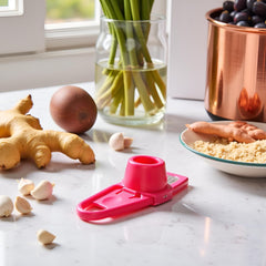 Multifunction Ginger Grater Tool Mini Grater Nutmeg Grinder Garlic Grater, Kitchen Manual Fruit Vegetable Nuts Chopper Grinder Tools (Rose Red)