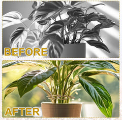 Climbing Houseplant Stem Supports, Plastic Plant Stem Holders, Reusable Flower Plant Growth Stakes Trellis Stem Growth Accessories for Garden Balcony- Gold