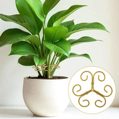 Climbing Houseplant Stem Supports, Plastic Plant Stem Holders, Reusable Flower Plant Growth Stakes Trellis Stem Growth Accessories for Garden Balcony- Gold