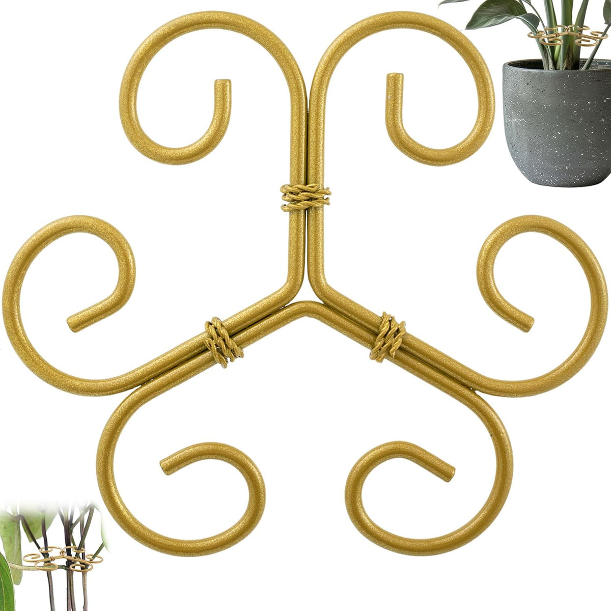 Climbing Houseplant Stem Supports, Plastic Plant Stem Holders, Reusable Flower Plant Growth Stakes Trellis Stem Growth Accessories for Garden Balcony- Gold